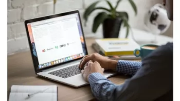 Person working on a laptop at a desk with plants and books.